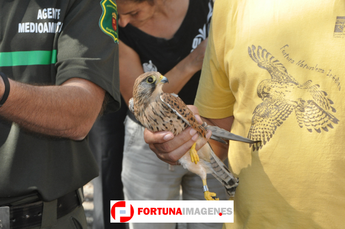 Día Mundial de las Aves 2012 en Fortuna